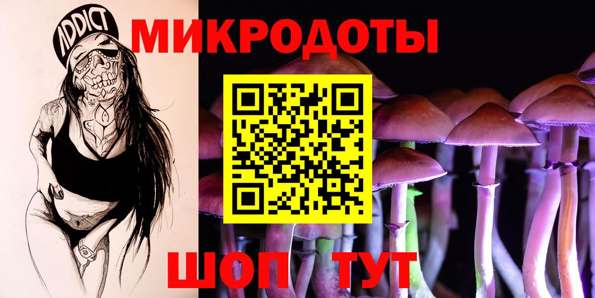 даркнет сайт  Псилоцибиновые грибы GOLDEN TEACHER  Вход с VPN  Курчалой 